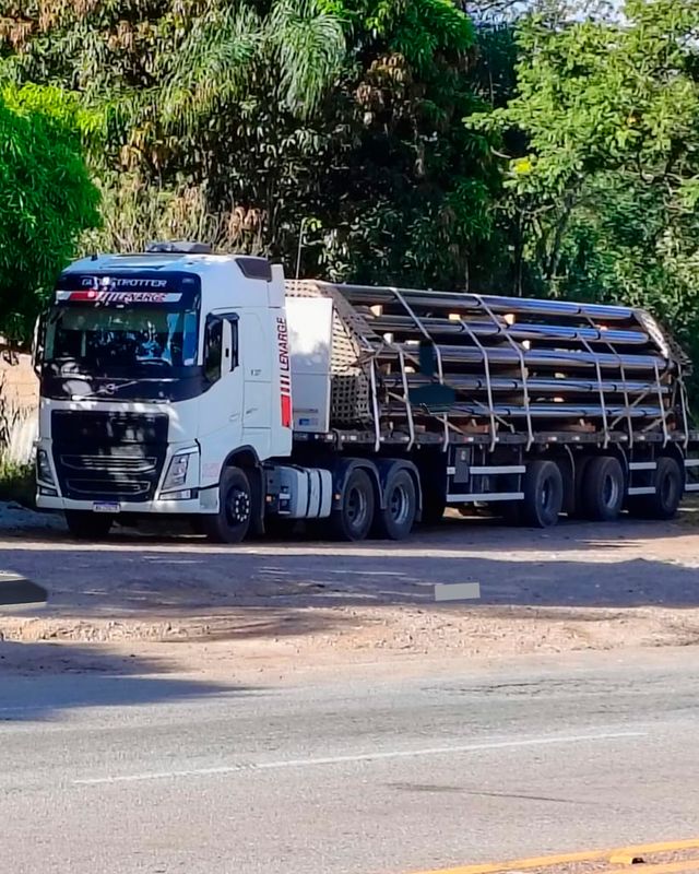 Conjunto florestal da Lenarge carregado de madeira em rodovia